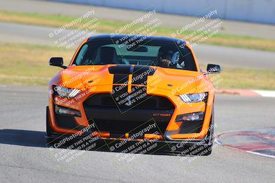 media/Oct-01-2022-Speed Ventures (Sat) [[c274cbe0b4]]/PURPLE GROUP/Session 3 Turn 13/